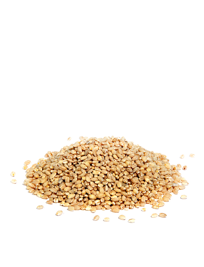 Berny - Pearl barley - bulk