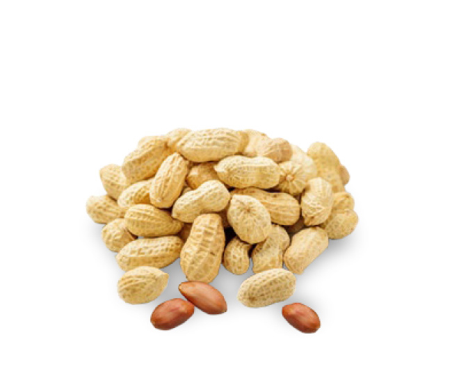 Berny - Peanut in shell - bulk